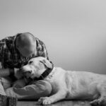 Understanding Euthanasia for Dogs