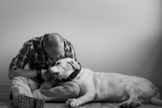 Understanding Euthanasia for Dogs